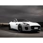 Tubo sostituzione catalizzatore Jaguar FType 2013  Ragazzon