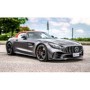 Tubo posteriore Gr. Mercedes AMG GT(190) 2015  Ragazzon