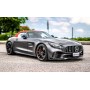 Catalizzatore metallico 200cpsi Mercedes AMG GT4(X290) 2019  Ragazzon